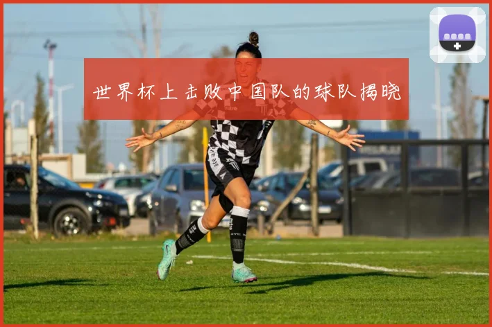 世界杯上击败中国队的球队揭晓