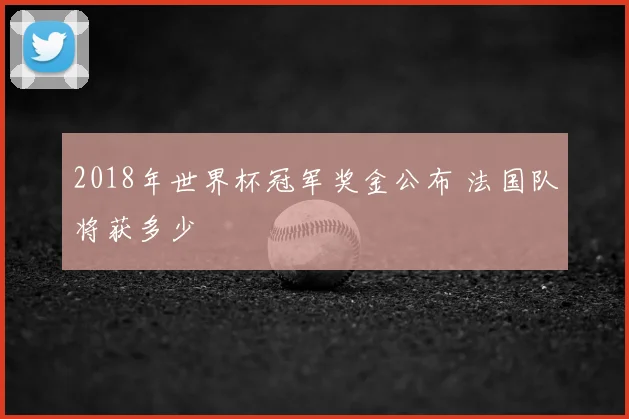 2018年世界杯冠军奖金公布 法国队将获多少