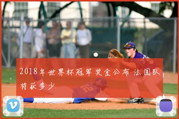2018年世界杯冠军奖金公布 法国队将获多少