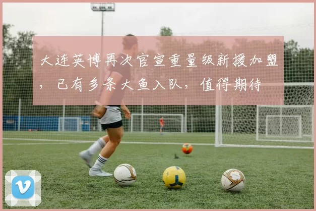 大连英博再次官宣重量级新援加盟,已有多条大鱼入队,值得期待