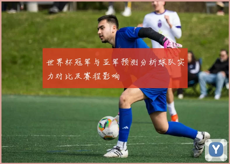 世界杯冠军与亚军预测分析球队实力对比及赛程影响