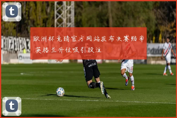欧洲杯竞猜官方网站发布决赛赔率 英格兰升位吸引投注
