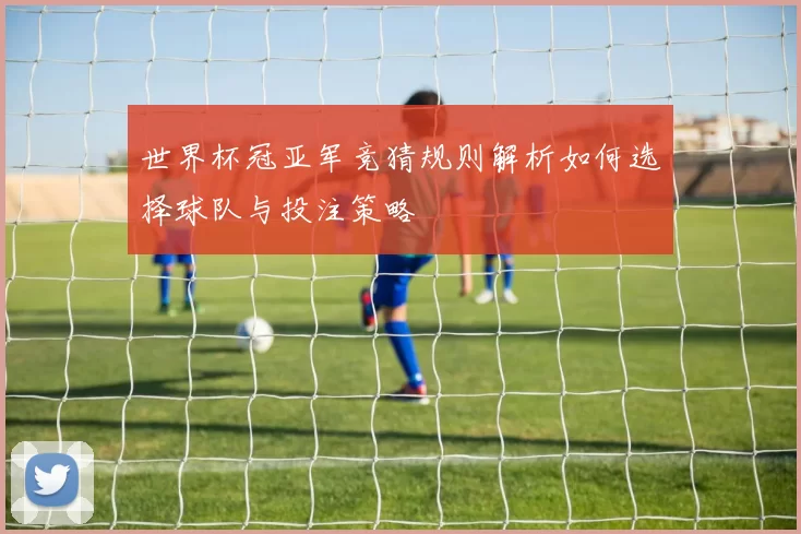 世界杯冠亚军竞猜规则解析如何选择球队与投注策略