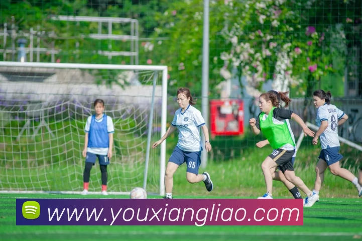 云开体育官网平台生态图